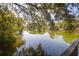 Lake view with lush trees and reflections on the water, showcasing a peaceful atmosphere with Spanish moss hanging from trees at 2 Townpark Ln # D, Charleston, SC 29412