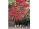 Inviting backyard with a red maple tree, white chairs, and small table at 2071 Middleburg Ln, Mount Pleasant, SC 29464