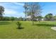 Expansive backyard with green grass and serene views of neighboring houses and green trees at 215 Center Hill Ct, Summerville, SC 29485