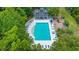 Aerial view of a luxurious community pool surrounded by lush greenery and a playground at 215 Center Hill Ct, Summerville, SC 29485