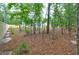 Spacious backyard surrounded by lush trees and a wooden fence, creating a serene outdoor space at 277 W Smith St, Lincolnville, SC 29485