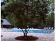 A tranquil community pool is surrounded by lounge chairs and shaded by mature trees at 3302 Porchview Pl, Johns Island, SC 29455