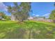 Green backyard featuring lush lawn and privacy fence at 5033 Thornton Dr, Summerville, SC 29485