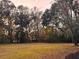 Backyard with mature trees and lawn at 6464 St Anthony Dr, Hollywood, SC 29449