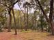 Mature trees throughout the backyard at 6464 St Anthony Dr, Hollywood, SC 29449