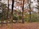 View of trees in backyard at 6464 St Anthony Dr, Hollywood, SC 29449