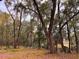 Property features beautiful mature trees at 6464 St Anthony Dr, Hollywood, SC 29449