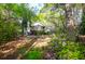 Expansive backyard with mature trees, lush greenery, and glimpses of the home's screened porch at 683 Edmonds Dr, Charleston, SC 29412