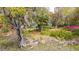 Charming home exterior with lush landscaping, vibrant flowers, and mature trees at 755 Jumbo Ln, Edisto Island, SC 29438