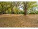 Exterior home view from wooded area and tree canopy at 755 Jumbo Ln, Edisto Island, SC 29438