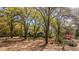 Charming home nestled among mature trees and colorful flowers, creating a serene and inviting atmosphere at 755 Jumbo Ln, Edisto Island, SC 29438