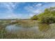 Expansive marsh landscape under a blue sky with scattered clouds, showcasing the natural beauty of the area at 755 Jumbo Ln, Edisto Island, SC 29438
