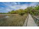 Picturesque marsh view with a boardwalk leading to a covered structure surrounded by lush greenery at 755 Jumbo Ln, Edisto Island, SC 29438