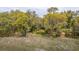 Beautiful waterfront property featuring mature trees and landscaping surrounding a cozy home at 755 Jumbo Ln, Edisto Island, SC 29438
