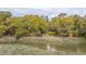 Scenic waterfront view with lush greenery and a charming home nestled among the trees at 755 Jumbo Ln, Edisto Island, SC 29438