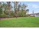 Expansive backyard featuring lush green grass and a tranquil wooded area at 119 Loon Dr, Summerville, SC 29483