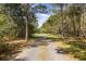 Gravel driveway winding through a canopy of trees, creating a picturesque and private entrance to the property at 2480 Royal Oak Dr, Johns Island, SC 29455