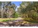 View of the gravel driveway leading through mature trees, showcasing the property's serene and private approach at 2480 Royal Oak Dr, Johns Island, SC 29455
