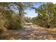 A long driveway leads through the trees at 2480 Royal Oak Dr, Johns Island, SC 29455