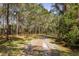 Long gravel driveway winds through a dense forest, offering a private and picturesque entrance to the property at 2480 Royal Oak Dr, Johns Island, SC 29455