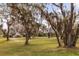 Exterior view of the home showcasing its well-manicured lawn and southern trees with Spanish moss at 2480 Royal Oak Dr, Johns Island, SC 29455