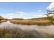 Scenic river view with lush marshland, tranquil water, and a serene natural setting at 2480 Royal Oak Dr, Johns Island, SC 29455