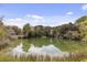 Scenic pond surrounded by lush trees and vegetation, offering a tranquil natural setting and reflective water views at 2480 Royal Oak Dr, Johns Island, SC 29455