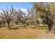 Picturesque view of moss-draped trees scattered across a lush green lawn at 2480 Royal Oak Dr, Johns Island, SC 29455