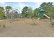 playground area offers a variety of play structures, providing endless fun at 2504 Ballast Pt, Mount Pleasant, SC 29466