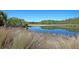 Scenic pond reflecting the serene landscape, creating a tranquil and picturesque setting at 2504 Ballast Pt, Mount Pleasant, SC 29466