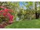 Picturesque lake view from the property, framed by mature trees, lush green grass and azalea bushes at 3176 Hagerty Dr, Charleston, SC 29414