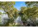 Tranquil lake view highlighting the property's serene waterfront location with Spanish Moss hanging from the trees at 3176 Hagerty Dr, Charleston, SC 29414