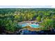 Aerial view of community pool, lake, and trees surrounding the property at 3584 Somerset Hills Ct, Mount Pleasant, SC 29466