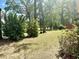 Lush backyard with a mix of shade trees, green lawn, and flowering bushes for serene outdoor enjoyment at 5182 Forest Oaks Dr, Hollywood, SC 29449