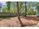 Spacious backyard with wooded perimeter, perfect for outdoor enjoyment and relaxation at 5560 Alpine Dr, Summerville, SC 29483