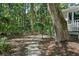 Backyard path with mature trees and foliage and a home elevation at 597 Oyster Rake Dr, Kiawah Island, SC 29455