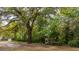 Yard featuring a chicken coop, large trees and sandy ground at 617 Hampton St, Walterboro, SC 29488
