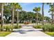 Inviting community park with palm trees, manicured landscaping, and walking paths for leisurely strolls at 1555 Willtown St, Daniel Island, SC 29492