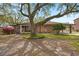 Charming brick home with mature trees, covered carport, and well-manicured lawn at 1673 Mcclain St, Charleston, SC 29407
