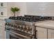 Close up view of the oven and stovetop at 2226 Red Fern Lane, Mount Pleasant, SC 29466