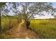 Path to kayak launch surrounded by marsh at 2519 Rutherford Way, Charleston, SC 29414