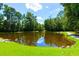 Community pond surrounded by green grass and trees at 2519 Rutherford Way, Charleston, SC 29414