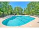 Spacious community pool featuring a diving lane, plenty of lounge chairs, shady umbrellas, and lush green trees at 2519 Rutherford Way, Charleston, SC 29414