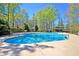 Large community pool surrounded by lush greenery, lounge chairs, shaded areas, and mature trees on a bright day at 2519 Rutherford Way, Charleston, SC 29414