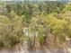 Aerial view of a home nestled among mature trees, surrounded by natural landscaping at 306 Teakwood Dr, Walterboro, SC 29488