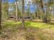 View of backyard of a home surrounded by mature trees, with a lush lawn at 306 Teakwood Dr, Walterboro, SC 29488