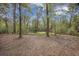 Expansive backyard with mature trees, creating a tranquil and private outdoor space at 306 Teakwood Dr, Walterboro, SC 29488