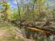 Scenic backyard featuring a winding creek, mature trees, and a private setting at 306 Teakwood Dr, Walterboro, SC 29488