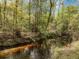 Scenic creek surrounded by mature trees and lush vegetation at 306 Teakwood Dr, Walterboro, SC 29488