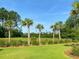 Picturesque pond surrounded by lush green lawns, manicured landscaping, and swaying palm trees at 3466 Yarmouth Dr, Mount Pleasant, SC 29466